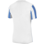 nike-m-nk-df-strp-dvsn-iv-jsy-ss-cw3813-103-tisort