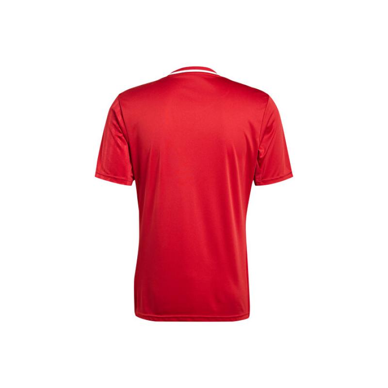 adidas-campeon25-jsy-m-jf6058