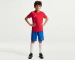 nike-y-nk-df-park-viii-jsy-ss-hv8182-657-forma